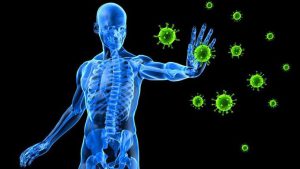 covid immunity